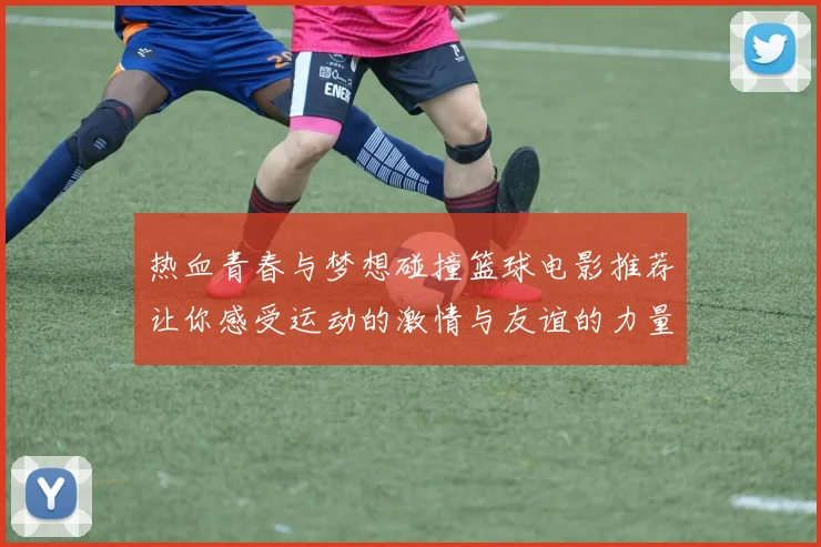 热血青春与梦想碰撞篮球电影推荐让你感受运动的激情与友谊的力量