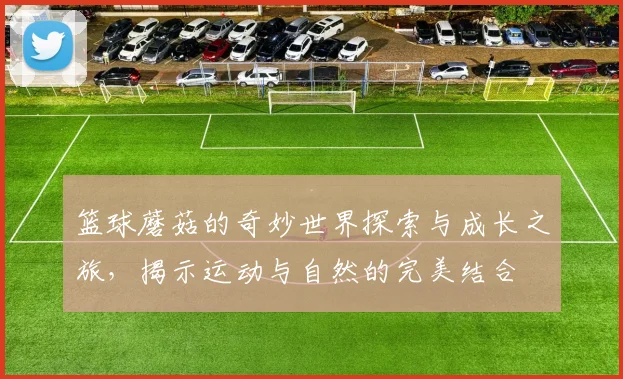 篮球蘑菇的奇妙世界探索与成长之旅，揭示运动与自然的完美结合