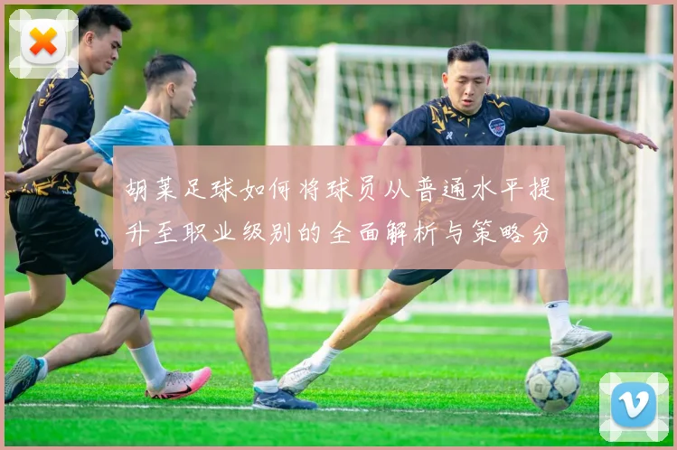 胡莱足球如何将球员从普通水平提升至职业级别的全面解析与策略分享
