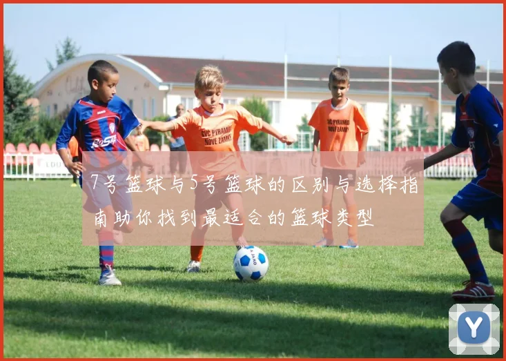 7号篮球与5号篮球的区别与选择指南助你找到最适合的篮球类型