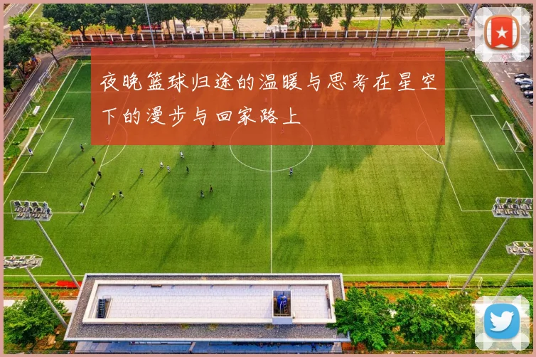 夜晚篮球归途的温暖与思考在星空下的漫步与回家路上