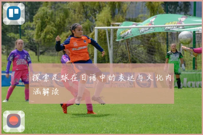 探索足球在日语中的表达与文化内涵解读