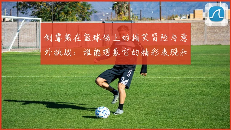 倒霉熊在篮球场上的搞笑冒险与意外挑战，谁能想象它的精彩表现和搞笑瞬间